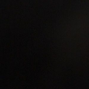 Meet your Posher, Summer